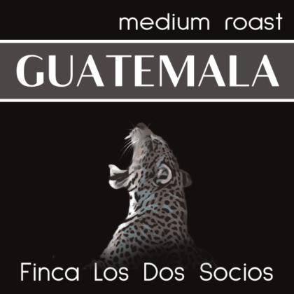 Jaguar der mit weit geöffnetem Maul nach oben schaut